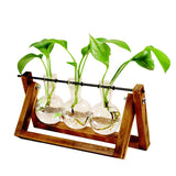 Glass Vase