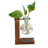 Glass Vase